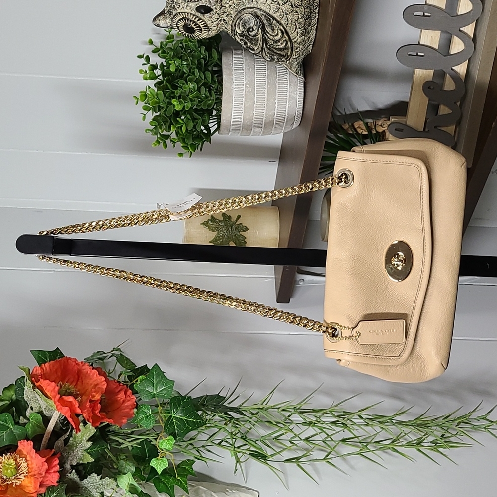 Coach Chain Pebble Leather Crossbody - Picture 3 of 14